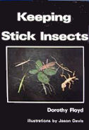 "Keeping Stick Insects"