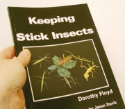 Keeping Stick Insects book