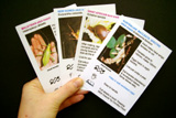 Examples of Collector Cards