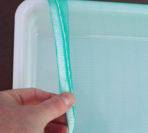 Mass_Larval_Tray_Mesh