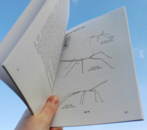 Inside "Keeping Stick Insects" book Inside "Keeping Stick Insects" book