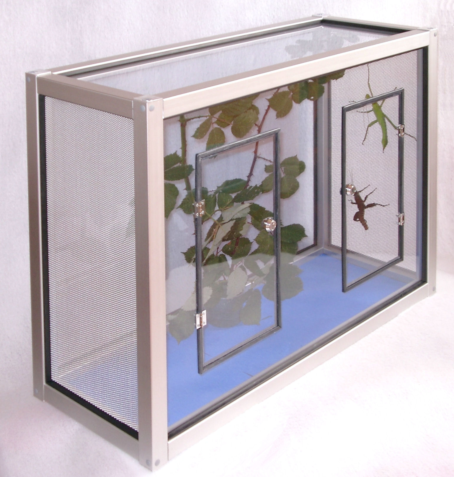Insect cage - wide, with two doors