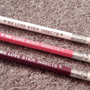 The three pencils in the Gift Set