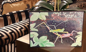 Stick insect print