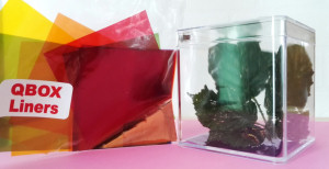 The British Vapourer Caterpillars Kit